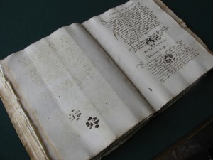 Proof that cats have been walking over important stuff for at least the last 500 years.