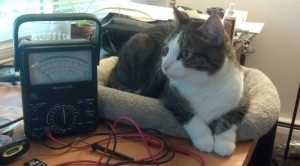 Rosco the PhD cat checking out his kit.