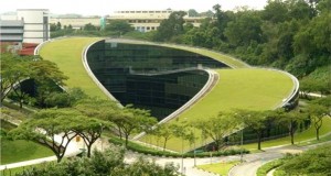 Credit: greenroofs.com