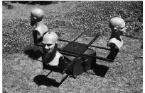 More unusual apparatus from the world of beard research.