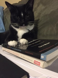 queeringedu