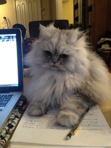 somberscribbler